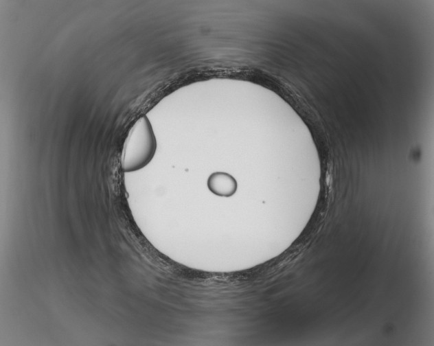 X0000116160867201001041112