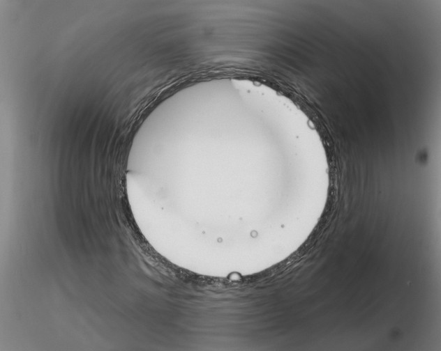 X0000116160868201001041112