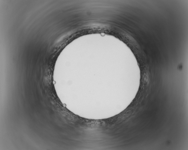 X0000116160869201001041112