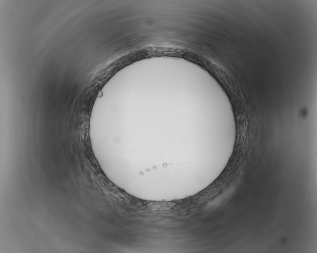 X0000116160870201001041112