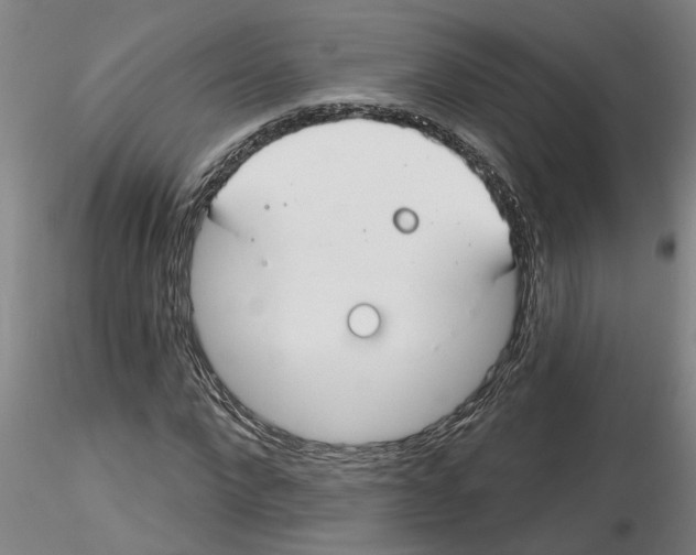 X0000116160872201001041112
