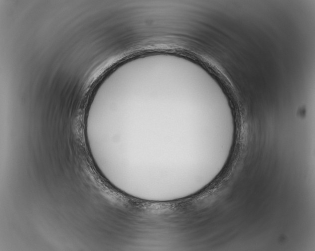 X0000116160874201001041112
