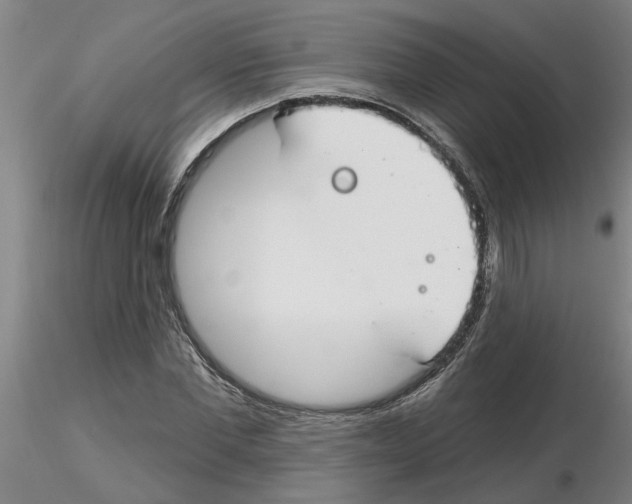 X0000116160877201001041112