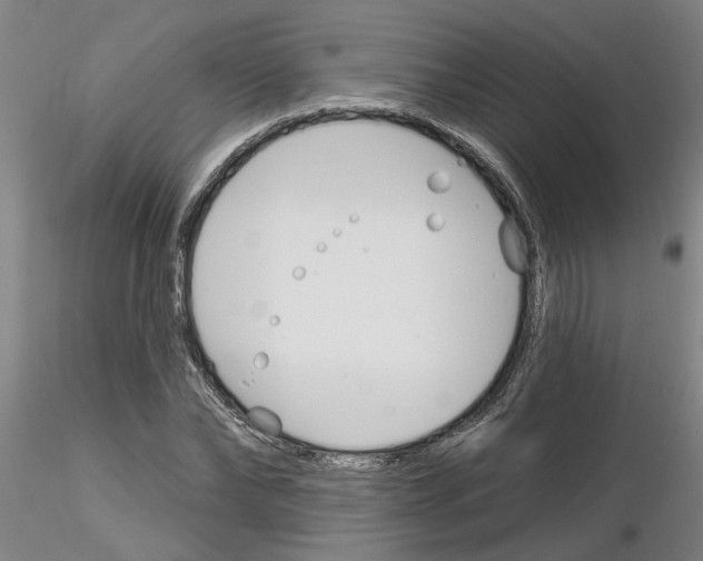 X0000116160878201001041112