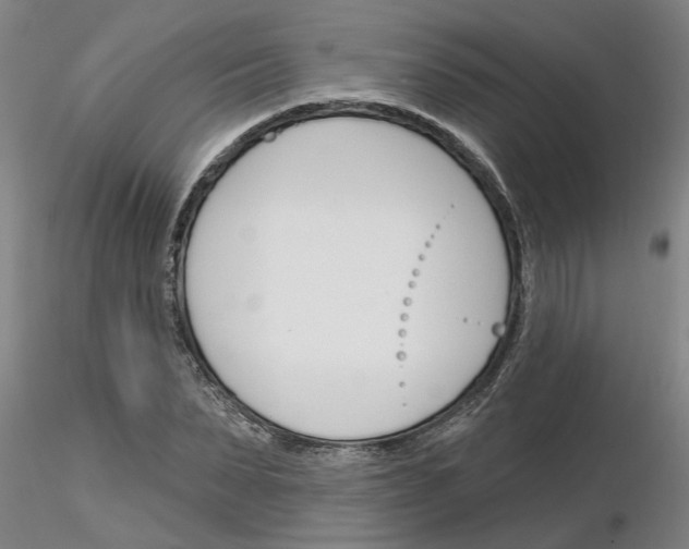 X0000116160879201001041112