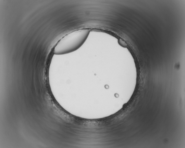 X0000116160880201001041112