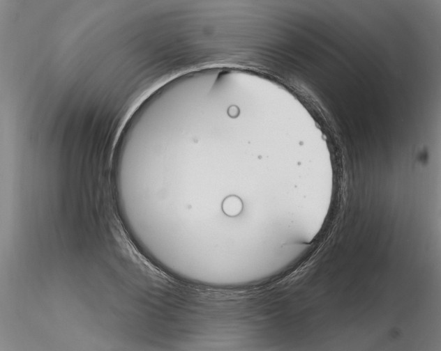 X0000116160884201001041112