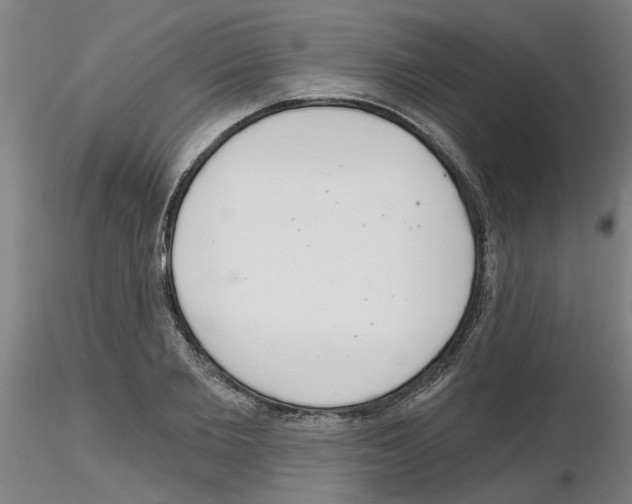 X0000116160885201001041112