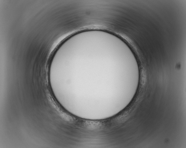 X0000116160886201001041112