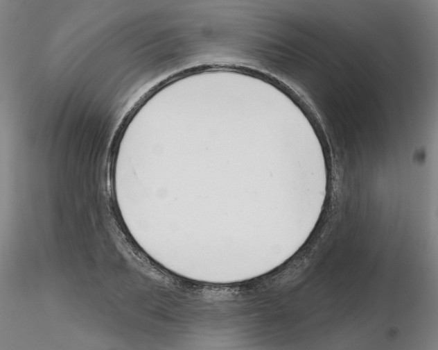 X0000116160887201001041112