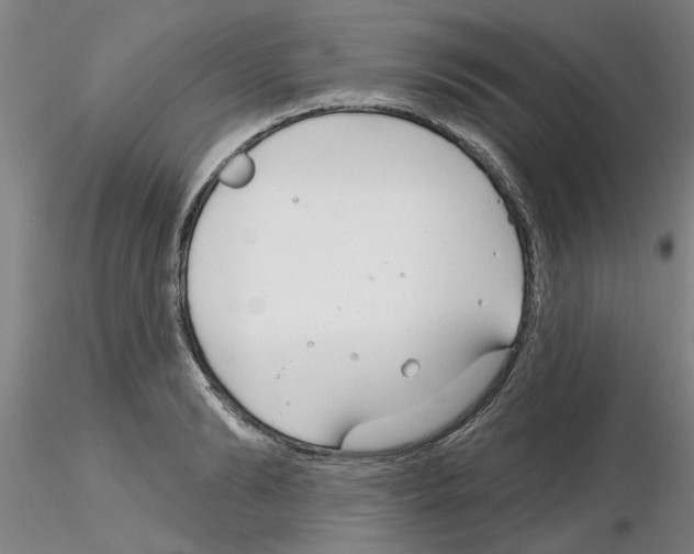X0000116160894201001041112
