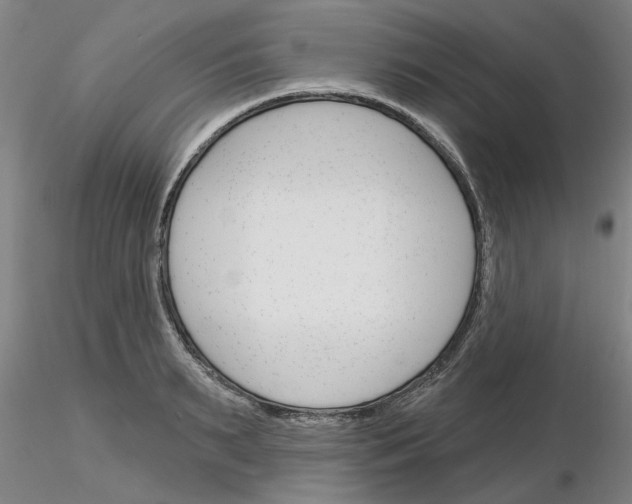 X0000116160895201001041112