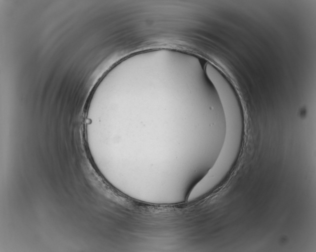 X0000116160899201001041112