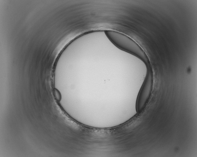 X0000116160901201001041112