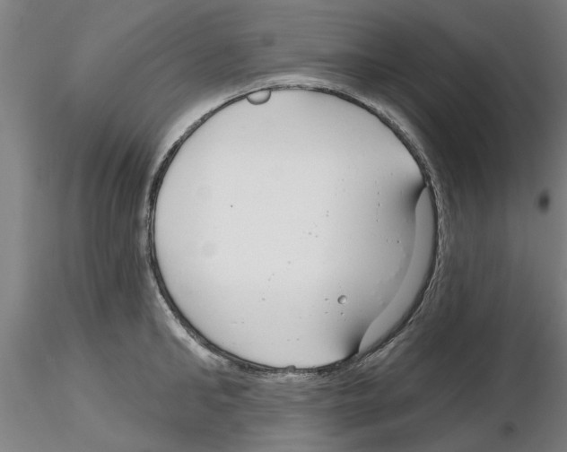 X0000116160902201001041112