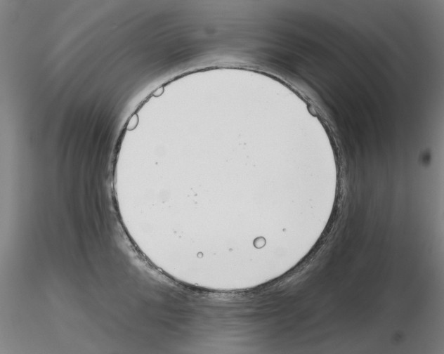 X0000116160904201001041112