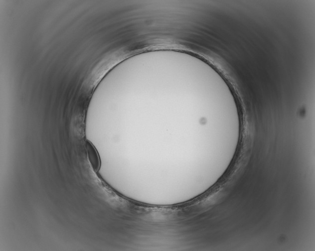 X0000116160905201001041112