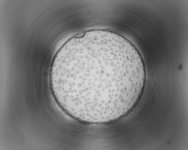 X0000116160906201001041112