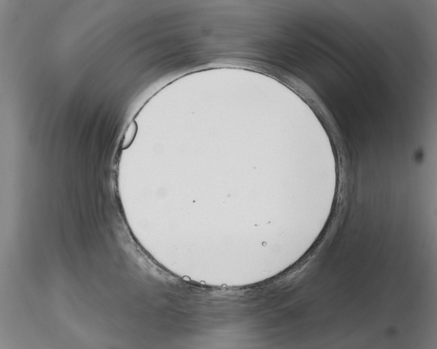 X0000116160908201001041111