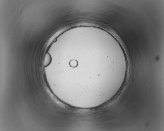 X0000116160909201001041111