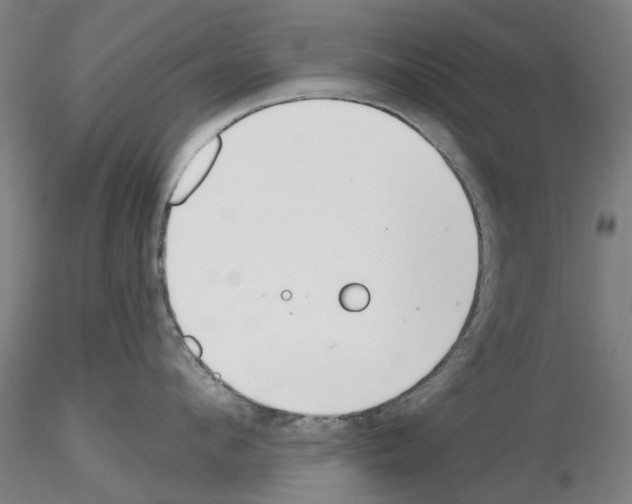 X0000116160912201001041111