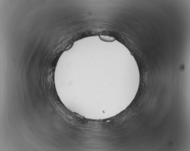 X0000116160914201001041111
