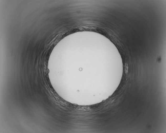 X0000116160915201001041111