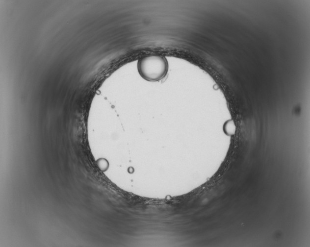 X0000116160918201001041111