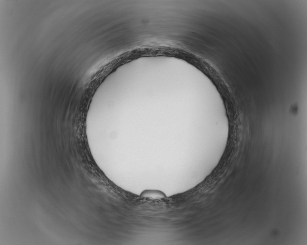 X0000116160919201001041111