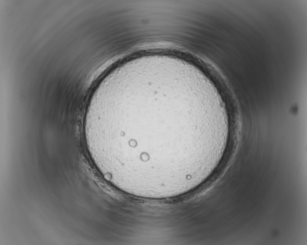 X0000116160921201001041111
