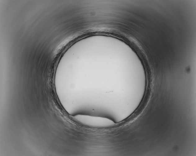 X0000116160922201001041111