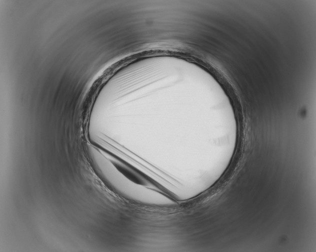 X0000116160923201001041111