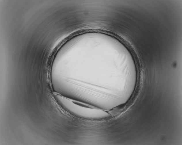 X0000116160925201001041111