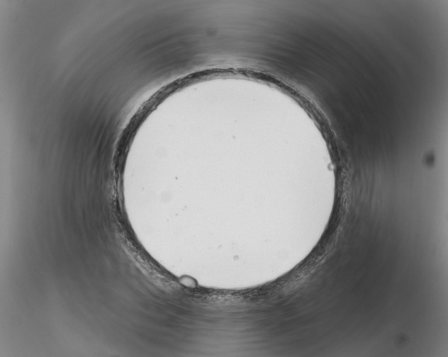 X0000116160927201001041111