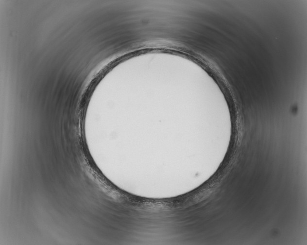 X0000116160931201001041111