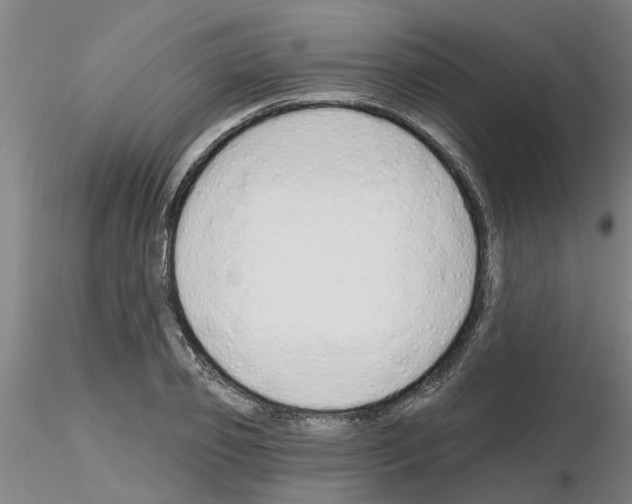 X0000116160933201001041111
