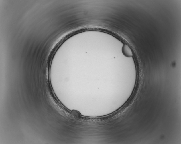X0000116160934201001041111