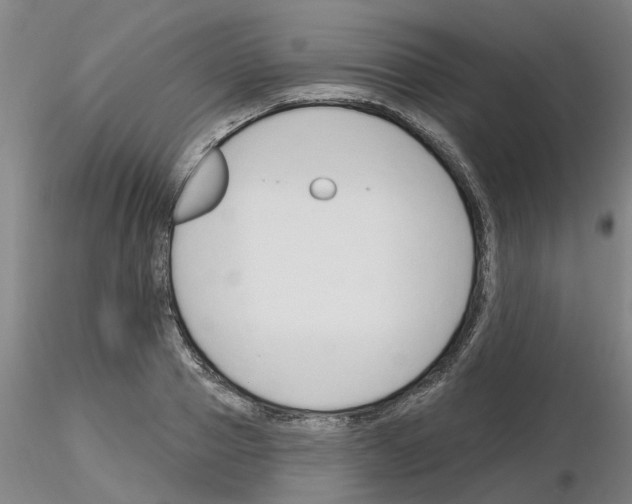 X0000116160937201001041111