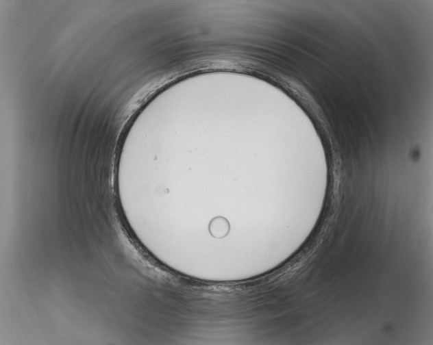 X0000116160938201001041111