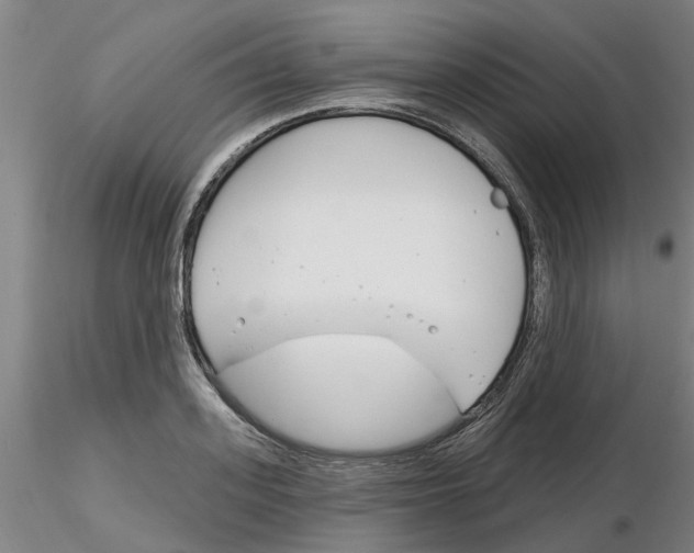 X0000116160939201001041111