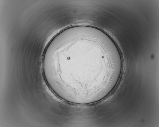X0000116160941201001041111