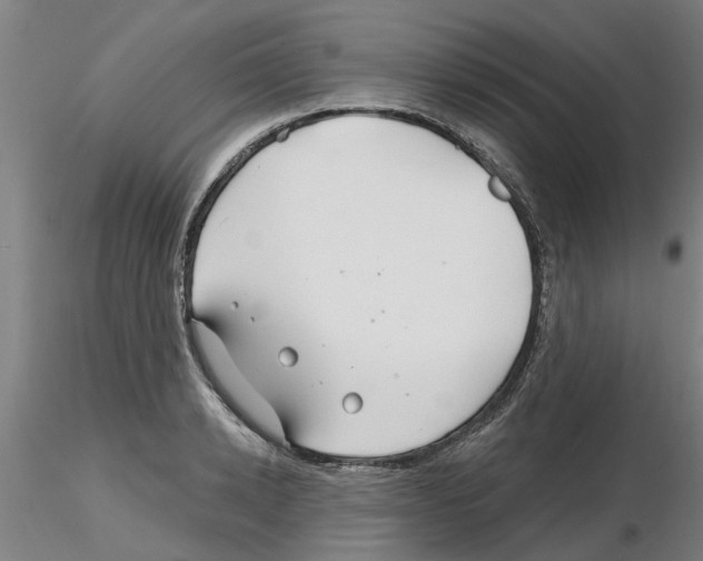 X0000116160942201001041111