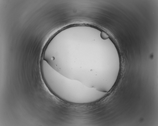 X0000116160943201001041111