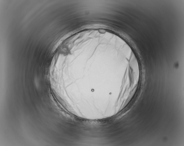 X0000116160945201001041111