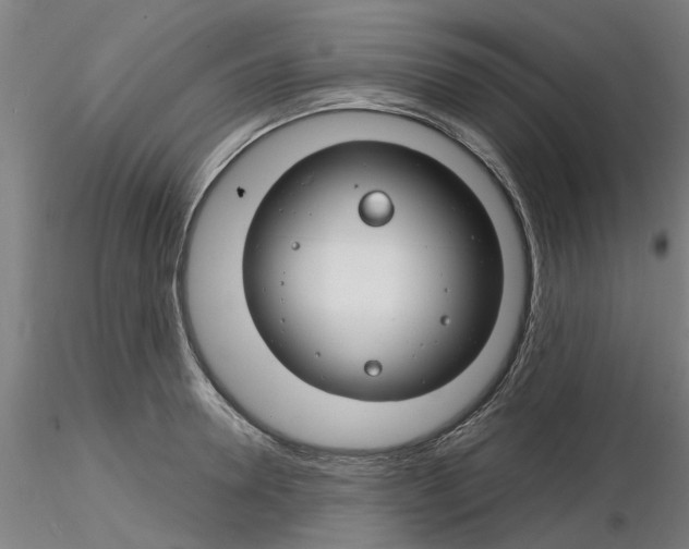 X0000116160946201001041111