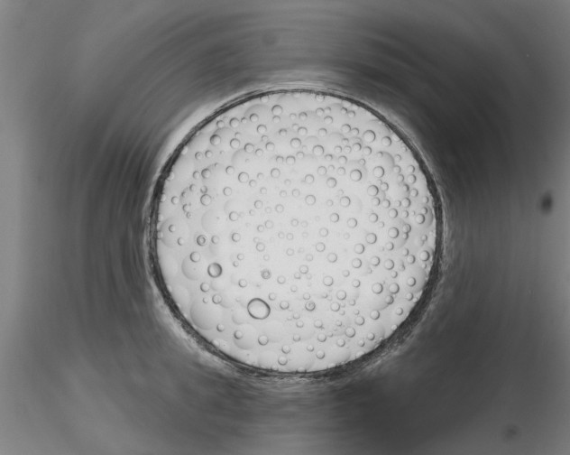 X0000116160949201001041111