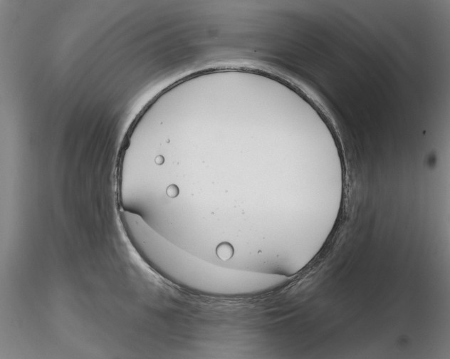 X0000116160951201001041111