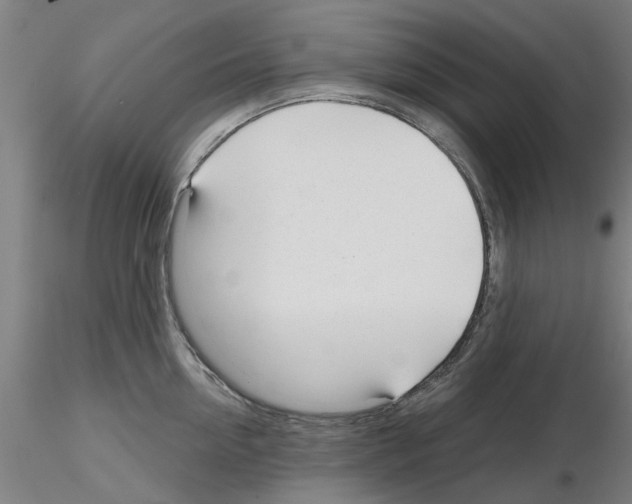 X0000116160954201001041111