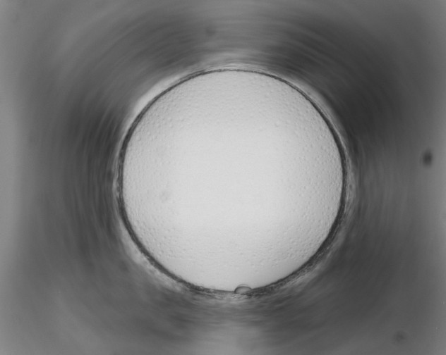 X0000116160957201001041111