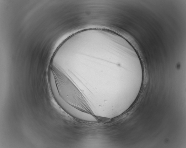 X0000116160958201001041111